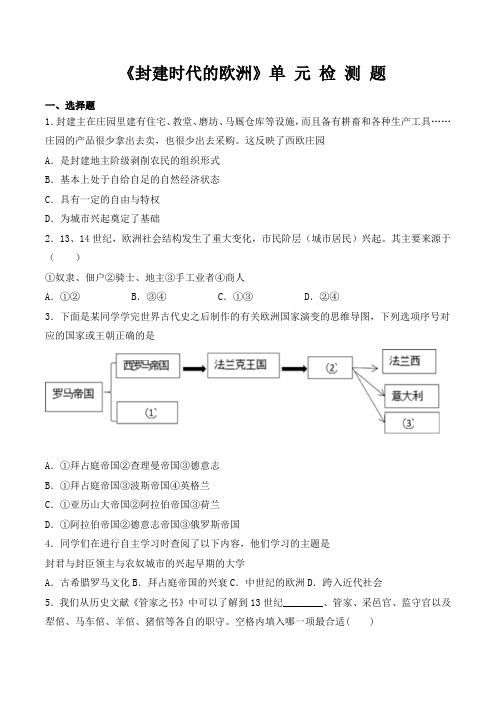 人教版历史九年级上册第三单元《封建时代的欧洲》单元检测题(含答案)