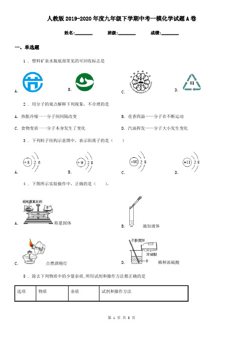 人教版2019-2020年度九年级下学期中考一模化学试题A卷