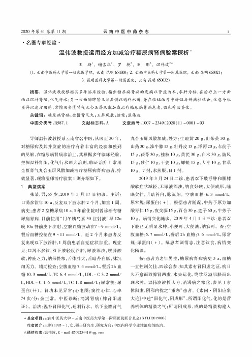 温伟波教授运用经方加减治疗糖尿病肾病验案探析