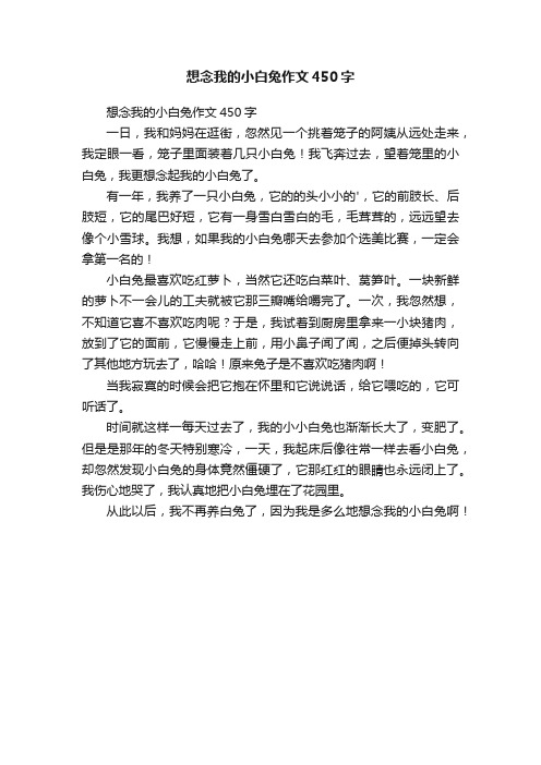 想念我的小白兔作文450字