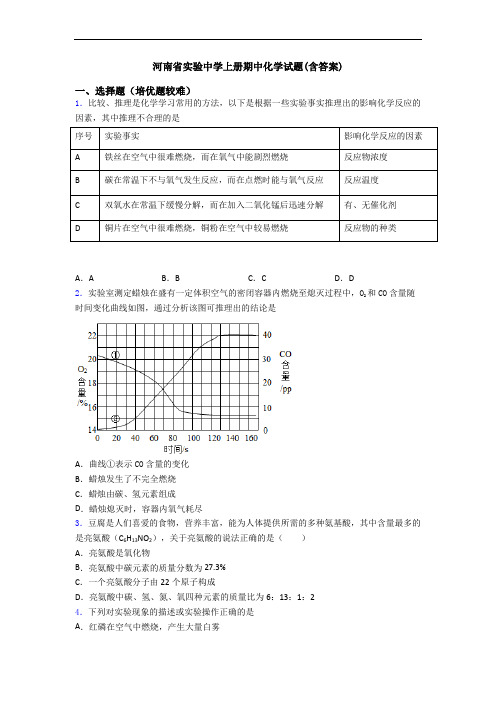 河南省实验中学上册期中初三化学试题(含答案)