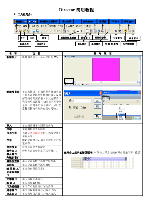 director教程