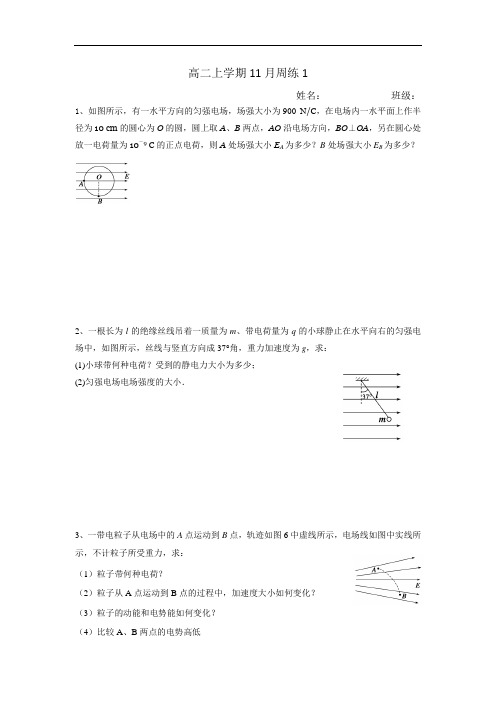 云南省德宏州梁河县第一中学高二11月周测1物理试题