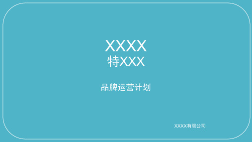 入驻天猫品牌运营计划