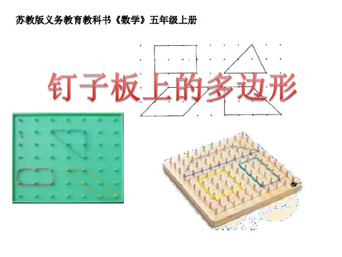 苏教版五年级数学上册《钉子板上的多边形》课件(公开课;定稿)