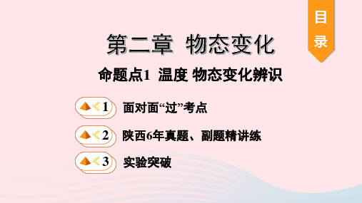 陕西省2020年中考物理一轮复习基础考点一遍过第二章物态变化命题点1温度物态变化辨识课件