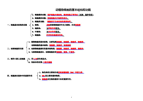 细胞的结构