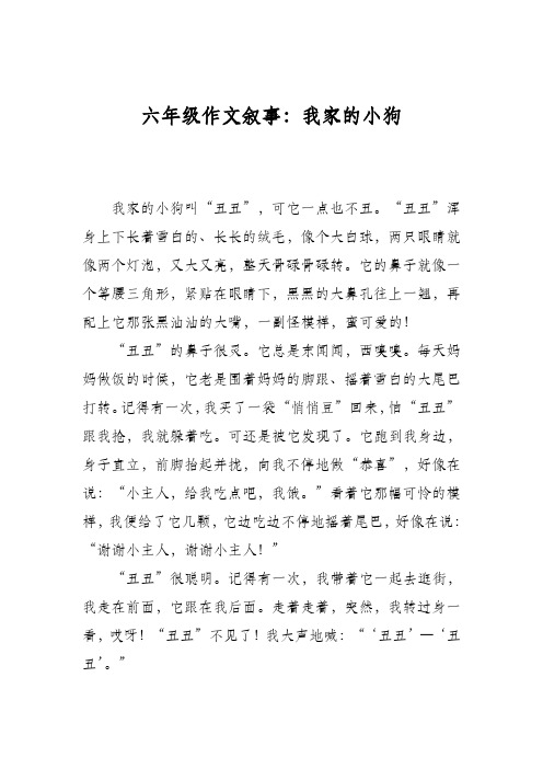 六年级作文叙事：我家的小狗