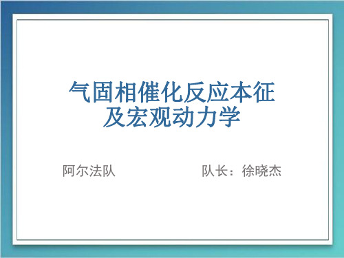 气固相催化反应本征及宏观动力学