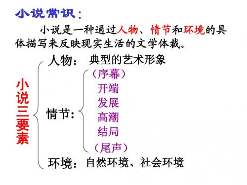 《祝福》精品课件