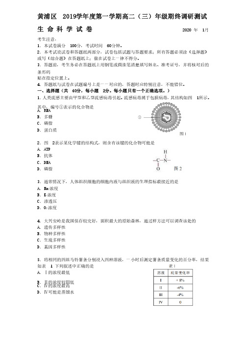 2020生物等级考黄浦区一模试卷和参考答案