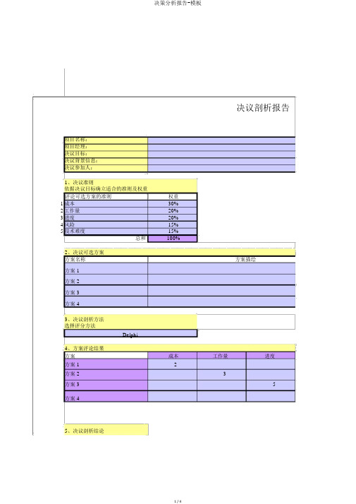 决策分析报告-模板