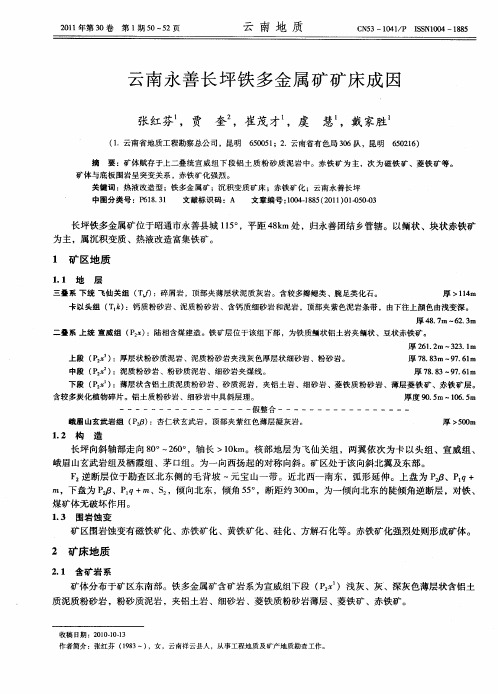 云南永善长坪铁多金属矿矿床成因