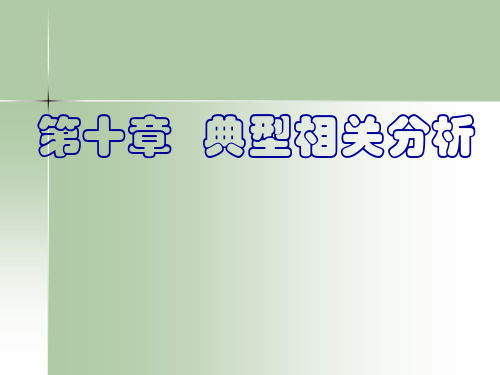 第十章 典型相关分析.