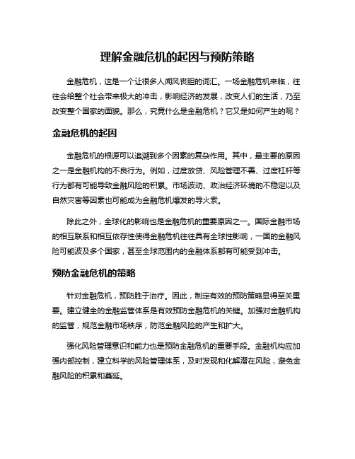 理解金融危机的起因与预防策略