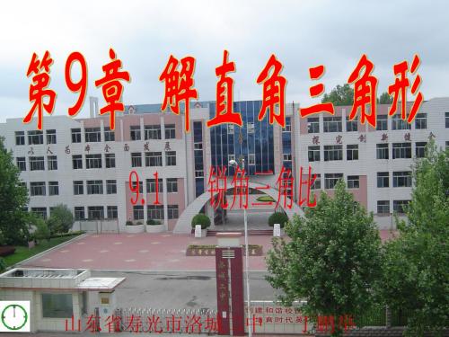 青岛版八下9.1《锐角三角比》PPT课件用