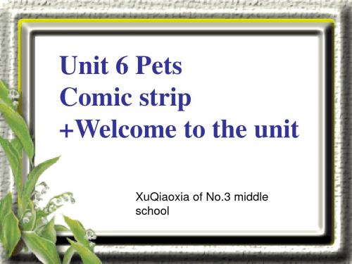 牛津译林版七下:Unit 6 Pets Comic strip +Welcome t