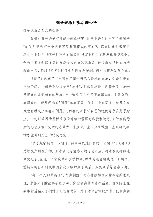 镜子纪录片观后感心得