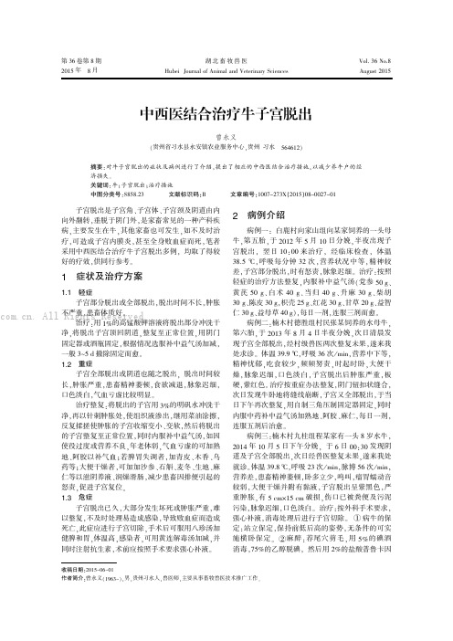 中西医结合治疗牛子宫脱出