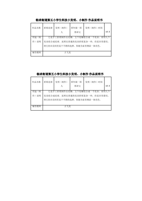 科技小制作说明