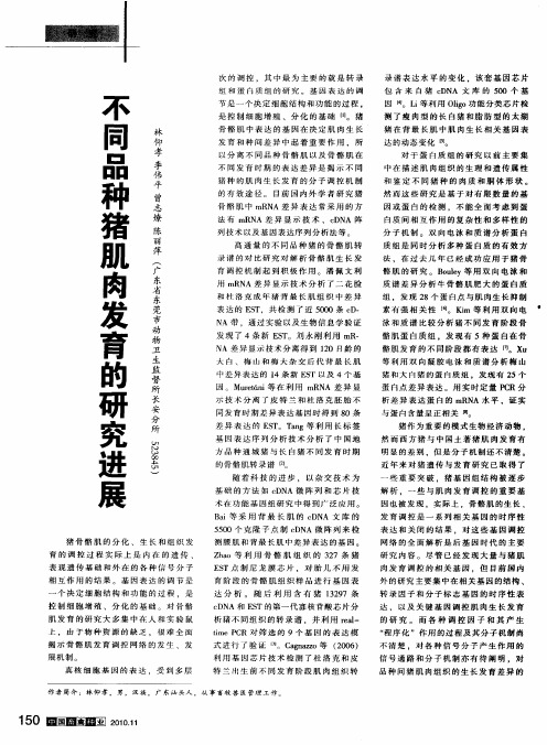 不同品种猪肌肉发育的研究进展