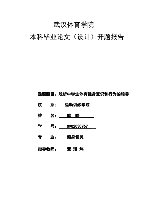 开题报告格式 - 副本