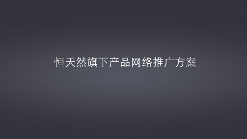 百度网络推广方案