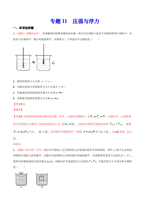 专题11  压强与浮力(解析版)