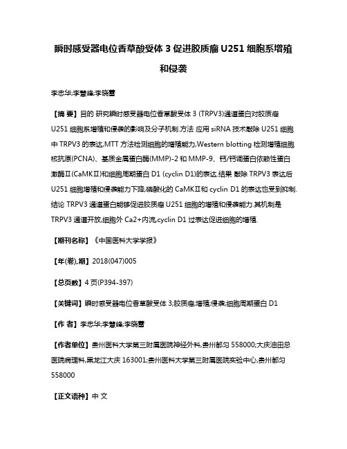 瞬时感受器电位香草酸受体3促进胶质瘤U251细胞系增殖和侵袭