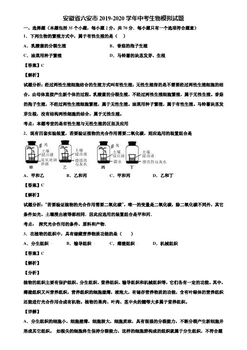 安徽省六安市2019-2020学年中考生物模拟试题含解析