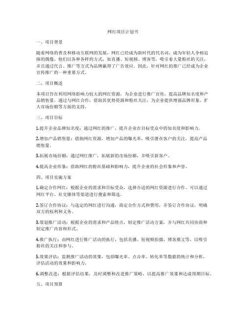 网红项目计划书