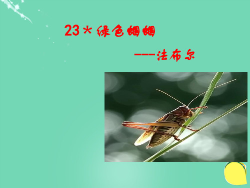 七年级语文上册 23《绿色蝈蝈》教学课件 (新版)新人教版