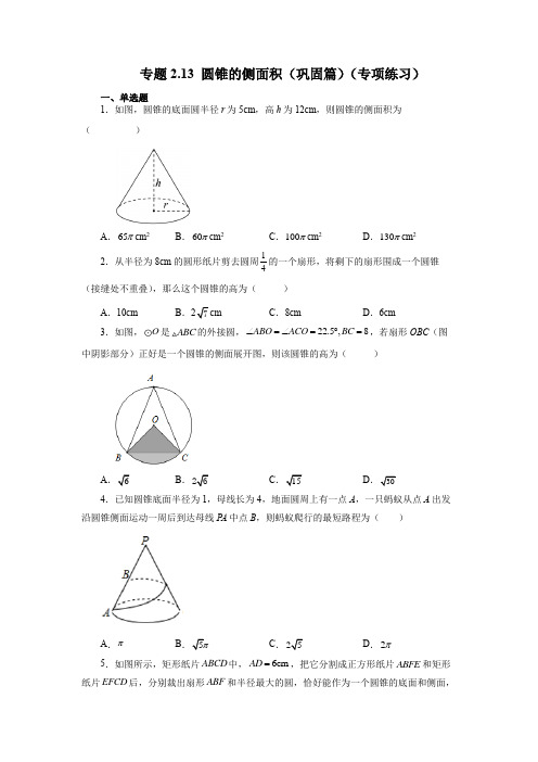 圆锥的侧面积(巩固篇)(专项练习)