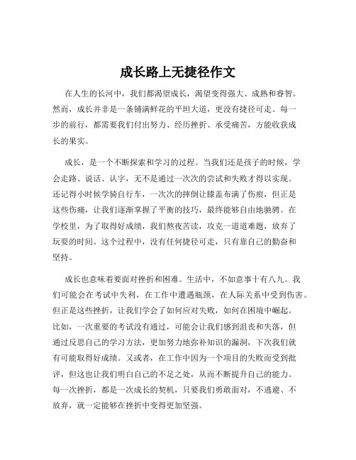 成长路上无捷径作文