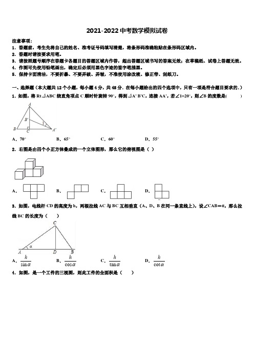 江苏苏州高新区达标名校2021-2022学年中考数学仿真试卷含解析