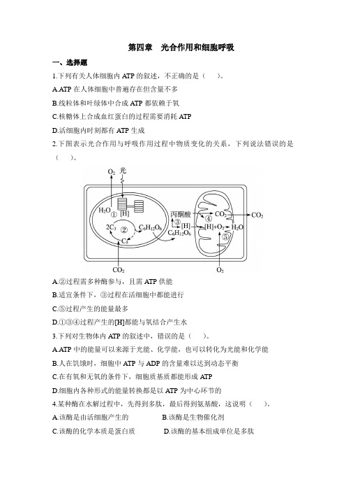 苏教版高中生物必修1 第四章章末复习：《光合作用和细胞呼吸》章末精选练习