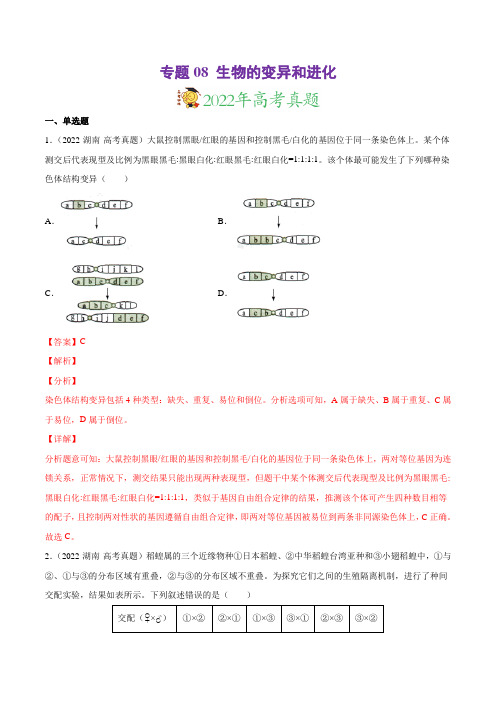 专题08 生物的变异和进化-三年(2020-2022)高考真题生物分项汇编(解析版)