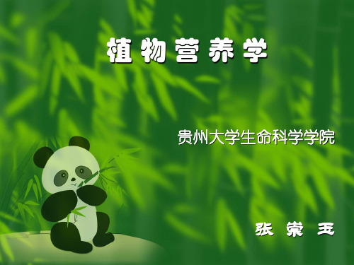 【PPT】植物营养学(精)