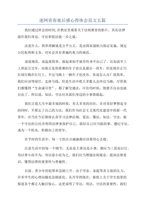 迷网青春观后感心得体会范文五篇