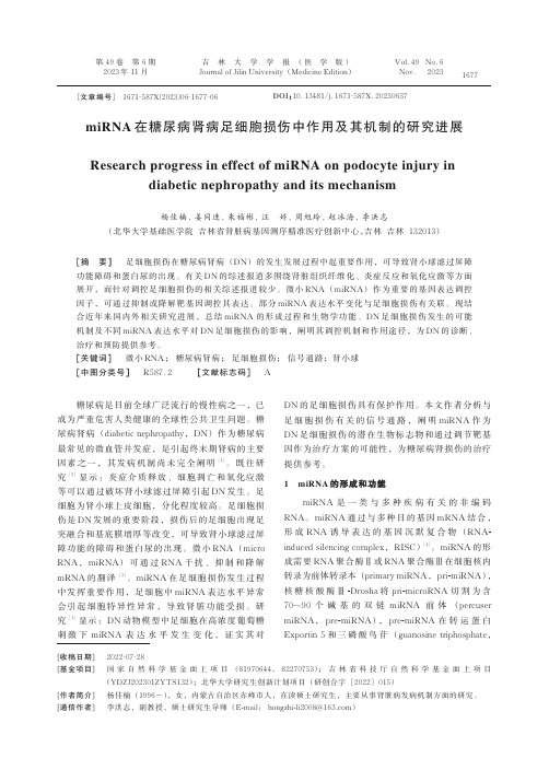 miRNA_在糖尿病肾病足细胞损伤中作用及其机制的研究进展