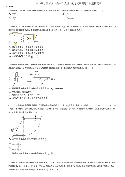 2024届宁夏银川市高三下学期一模考试理科综合试题精英版