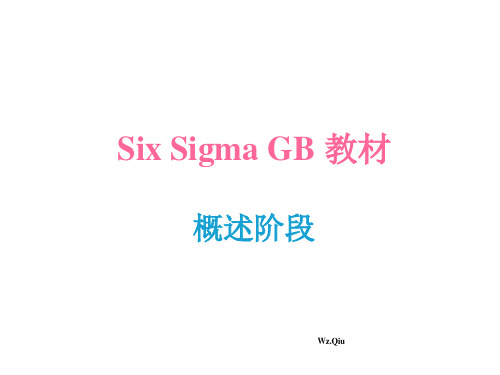 Six Sigma GB 教材-概述阶段