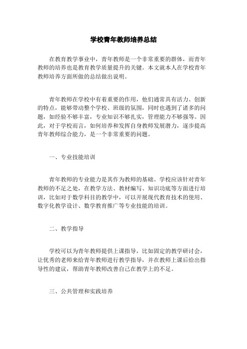 学校青年教师培养总结