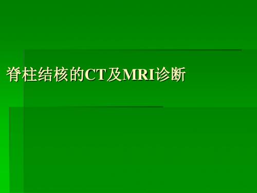 脊柱结核的CT及MRI诊断ppt课件