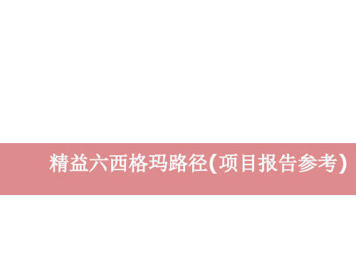 【尚择优选】精益六西格玛路径(项目报告参考)