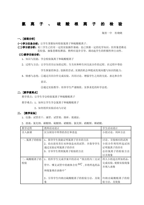 氯离子和硫酸根离子的检验——教案