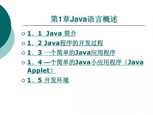 Java程序设计电子教案第一章