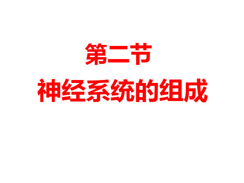 (最新)生物七年级下册《神经系统的组成》省优质课一等奖课件