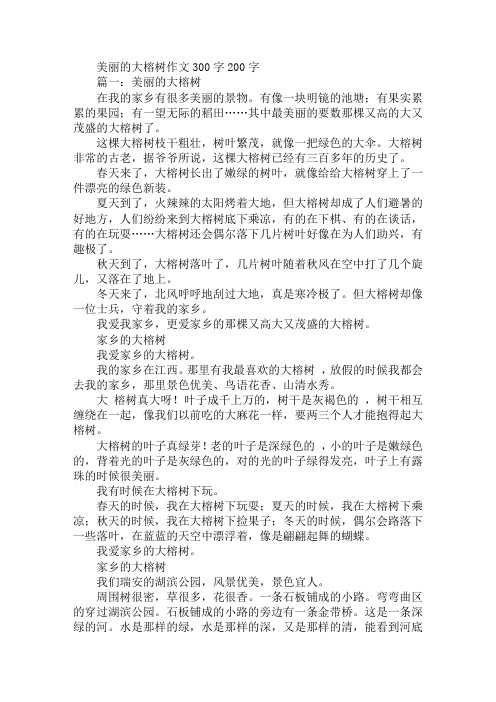 美丽的大榕树作文300字200字