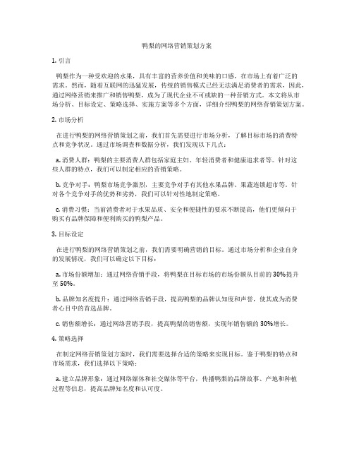 鸭梨的网络营销策划方案